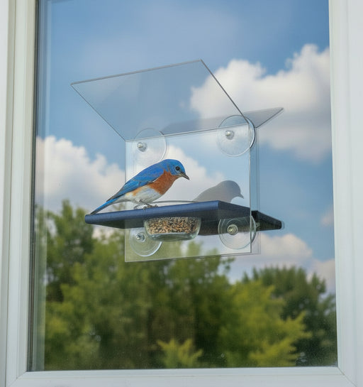 Blue window feeder - window mounted