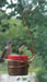 Window Mounted Copper Hummingbird Feeder