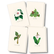 Woodland Wildflower Notecard Assortment