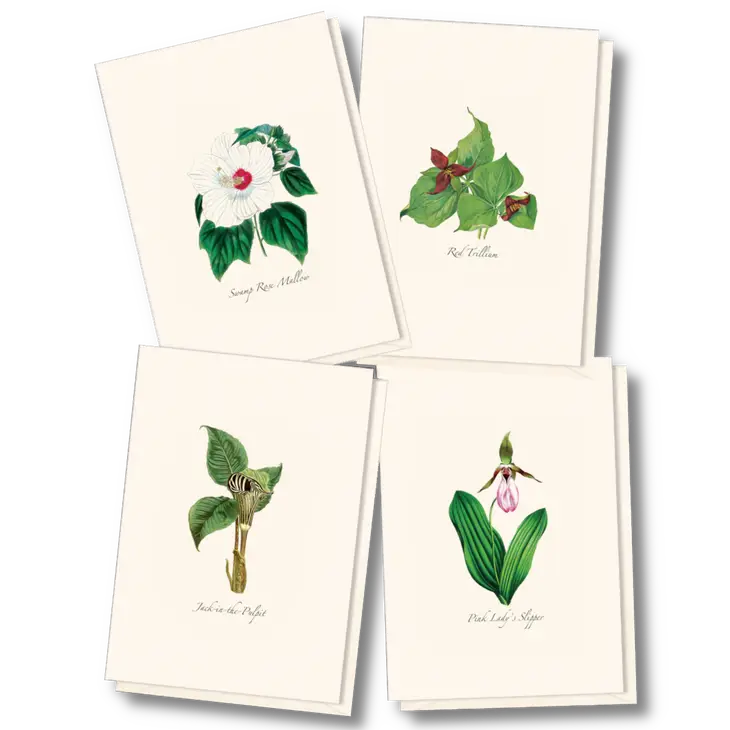 Woodland Wildflower Notecard Assortment