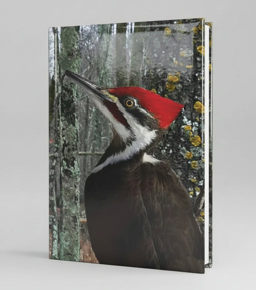 Pileated Woodpecker Blank Journal - Lined